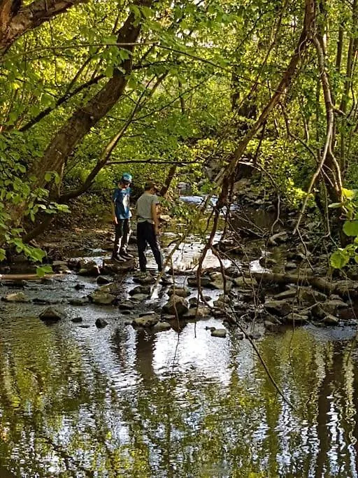 LE SECRET DU CHEMIN confort, détente et loisirs Ars-sur-Formans 0*,